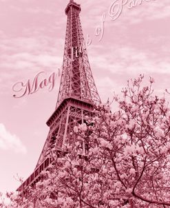 Eiffel Tower with Magnolia Pink