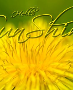 Hello Sunshine