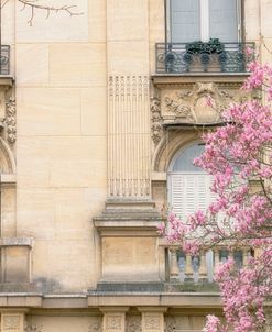 Facade With Magnolia