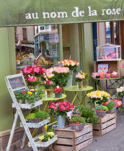 Flower Shop In Paris