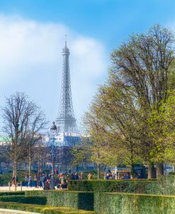 Jardin des Tuileries