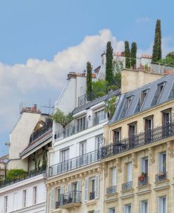 Paris’ Roof Gardens