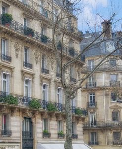Paris’ Apartement Buildings