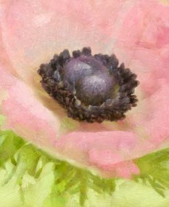 Anemone Pink and Lime