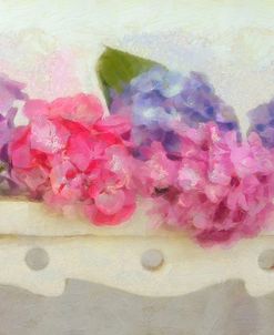 Blue and Pink Hydrangea Flowers on a Bench