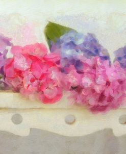 Blue and Pink Hydrangea flowers on a Bench