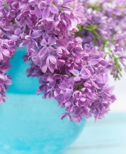 Lilacs in Blue Vase IV