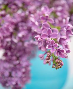 Lilacs in Blue Vase II