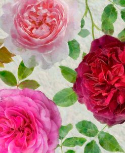Peonies and Roses V