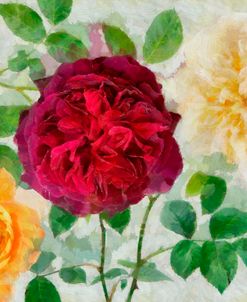 Peonies and Roses II