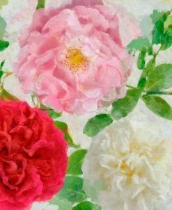 Peonies and Roses III