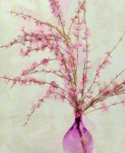Pink Broom in Glass