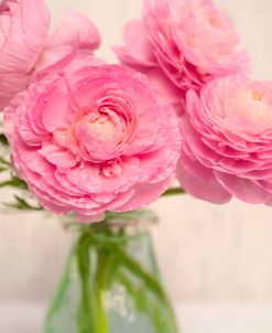 Pink Buttercups in Glass I