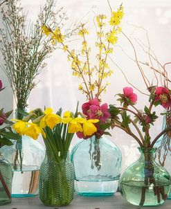 Spring Flowers in Glass Bottles I