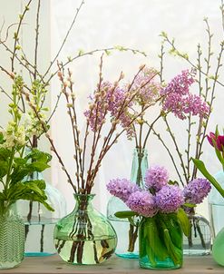 Spring Flowers in Glass Bottles III