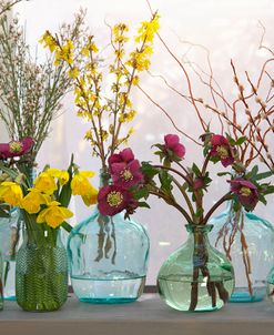 Spring Flowers in Glass Bottles IV