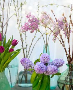 Spring Flowers in Glass Bottles V