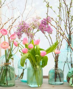 Spring Flowers in Glass Bottles VI
