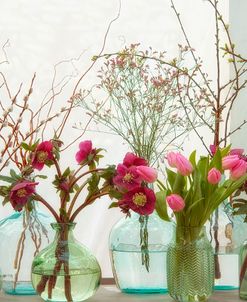 Spring Flowers in Glass Bottles VII