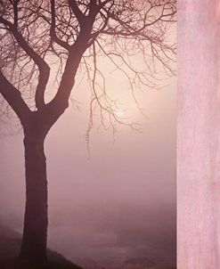 Pink Tree Collage