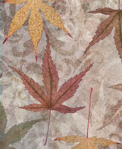 Autumn Leaves Maple