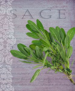 Classic Herbs Sage