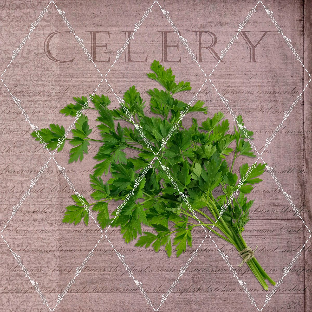 Classic Herbs Celery