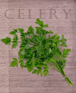 Classic Herbs Celery