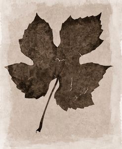 Sepia Grape Leaf