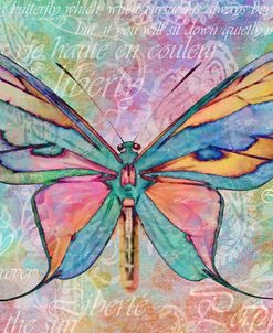 Colorful Butterfly