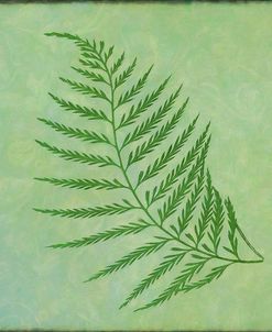 Fern Series Vintage I