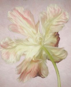 Pink Parrot Tulip Painting II