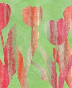 Tulip Shapes III