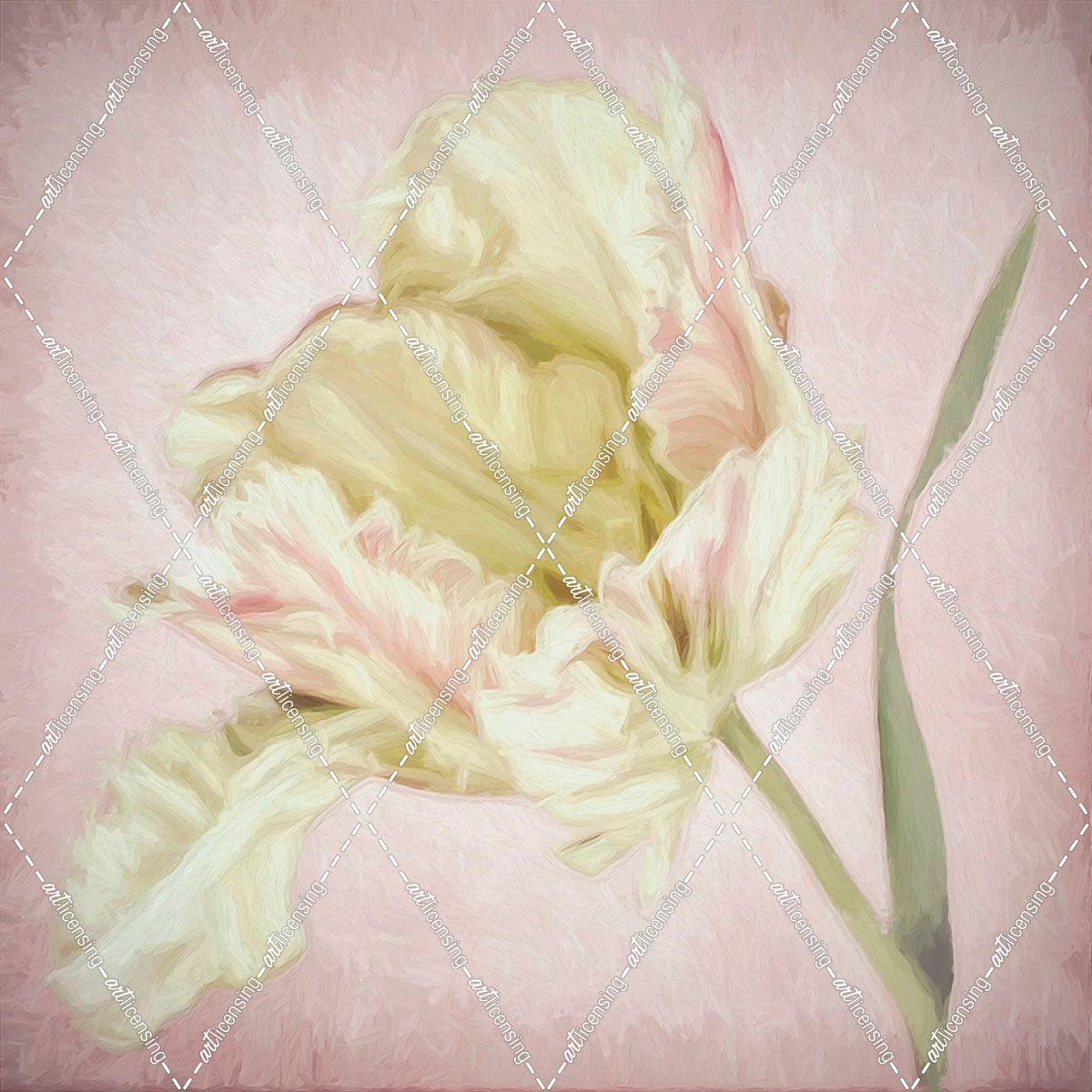 Pink Parrot Tulip Painting I