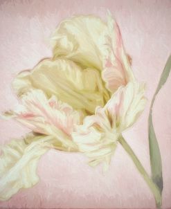 Pink Parrot Tulip Painting I