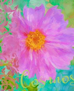 Colors Of Flowers I – Cosmos