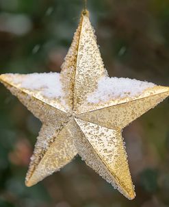 Golden Star with Snow