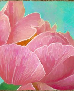 Pink Peony 4