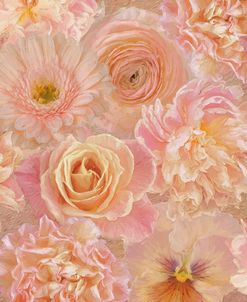 Wall Flowers Apricot-Pink