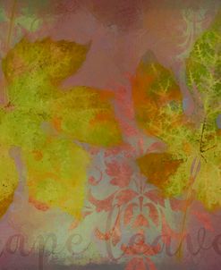Autumn Grape Leaves
