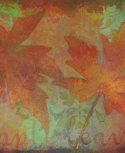 Autumn Maple Leaves