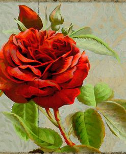 Red Rose Painted on Wooden Panel
