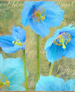 Blue Poppies