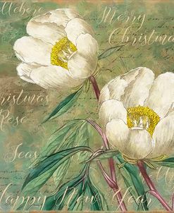 White Christmas Roses