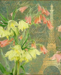 Paris Lilies