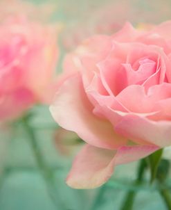 Pink Roses in Glass