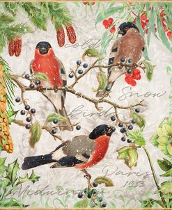 Winter Birds Bullfinches
