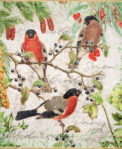 Winter Birds Bullfinches