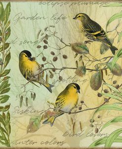 Tree Birds I Siskins