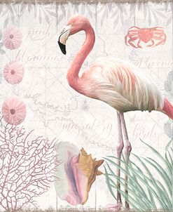 Waders I Flamingo